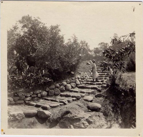 Woman Standing on Rock-Stepped Path