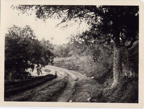 Dirt Road in the Arroyo