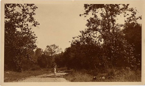 Woman on Dirt Path Near Bridge