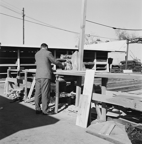 Man Working at Lumber Yard