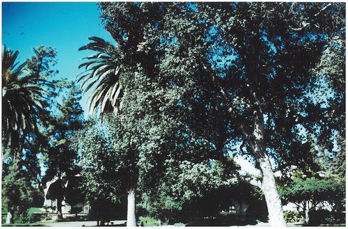 1975 Slide Show: Cultural Landmarks of South Pasadena: Bridge from South Garden