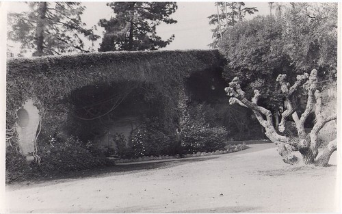 Ivy-Covered Oaklawn Bridge by Greene & Greene - City Landmark #3