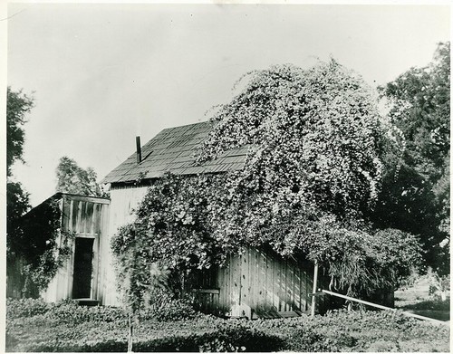 "South Pasadena's First Residence"