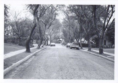 Summit Drive Looking East