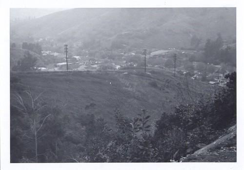 Looking South West Toward Collis Avenue