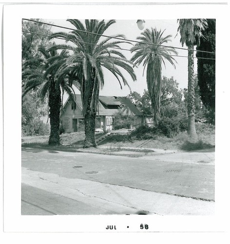 Palm-Lined Street and Home