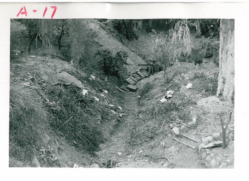 Debris (Fence and Trash) at Bottom of Gully