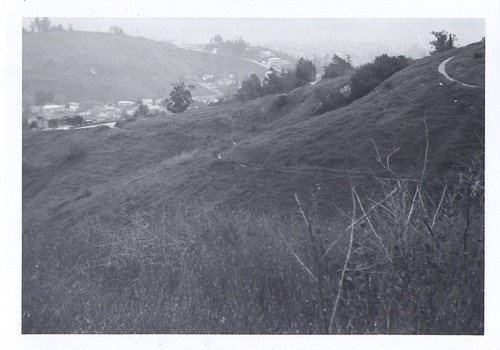 Near Hulbert and Moffatt, Along Proposed Freeway Route