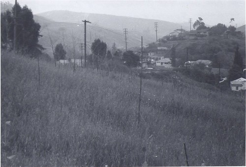 Near Pinecrest and Lomitas Drive, Looking South East