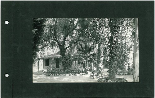 House Midst Large Trees