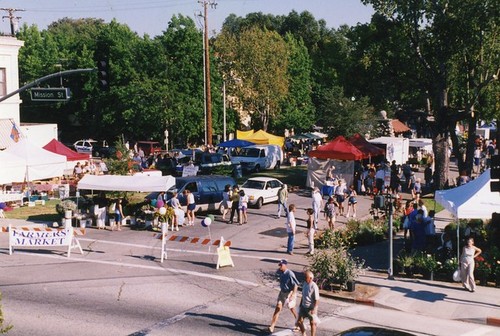 Farmer's Market