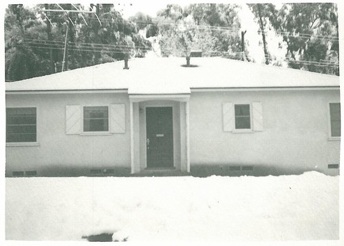 Snow on Lawn and House