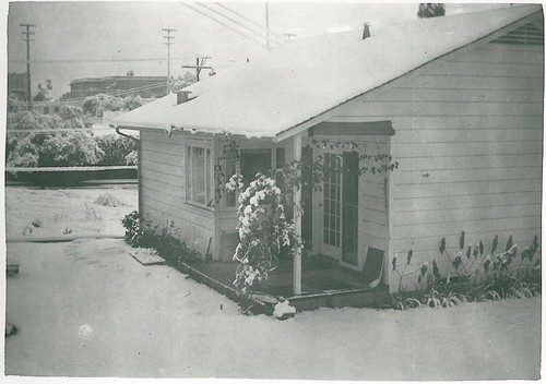 Snow on Roof and Lawn of Home