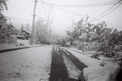 Snow-Covered Road, Trees, Homes on Garfield Avenue North of Gravelia