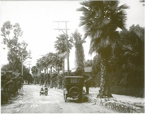 Palm Drive Outside the Entrance to Cawston Ostrich Farm