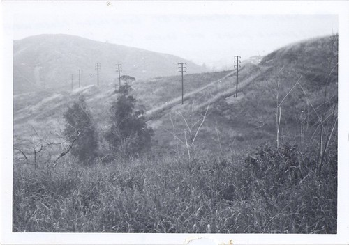 South of Moffatt Street Looking North West