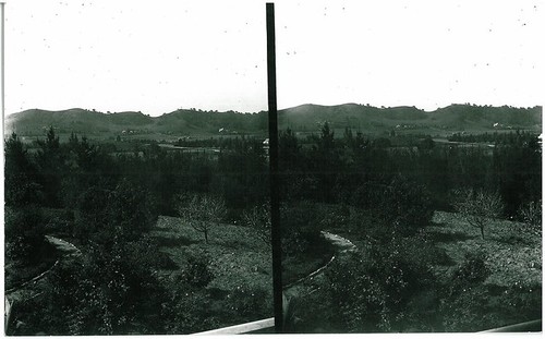 Early View of South Pasadena - Stereoview