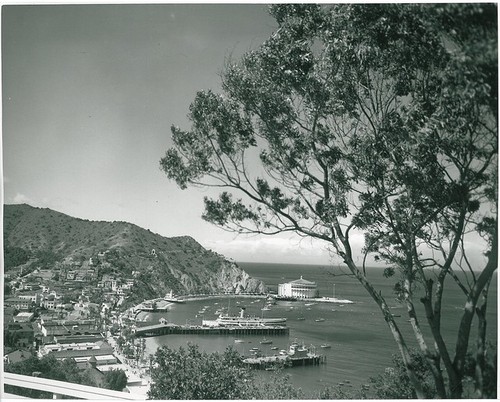 Avalon Bay on Santa Catalina Island Off Coast of Southern California