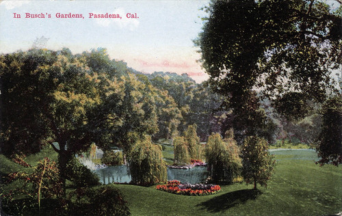 Postcard: "In Busch's Gardens, Pasadena, Cal."