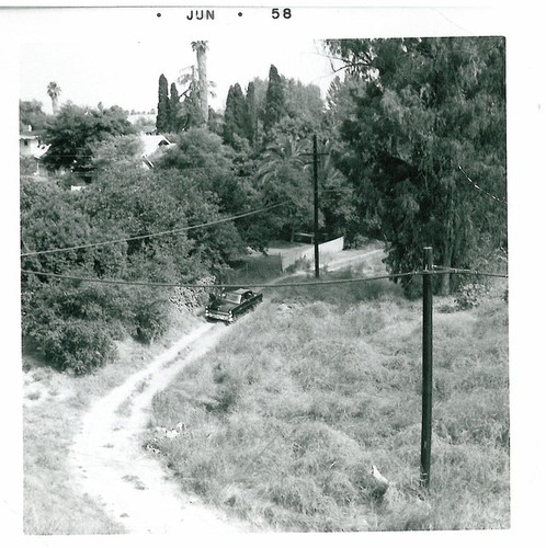 Car on Dirt Road, Curving Around Uncleared Area