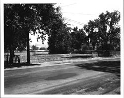 Unidentified street in Coddingtown area, Santa Rosa, California, 1962