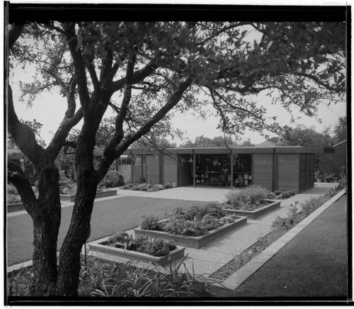 Texas gardens: Johnson, J. Lee, residence. Storage shed and Garden