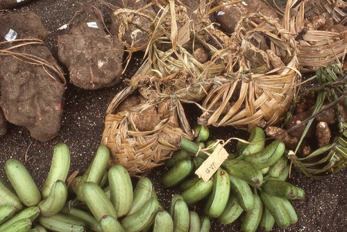 Vila market 1 of 4