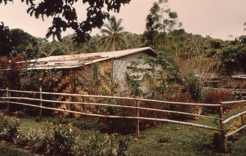 Wintua kitchen garden and fence