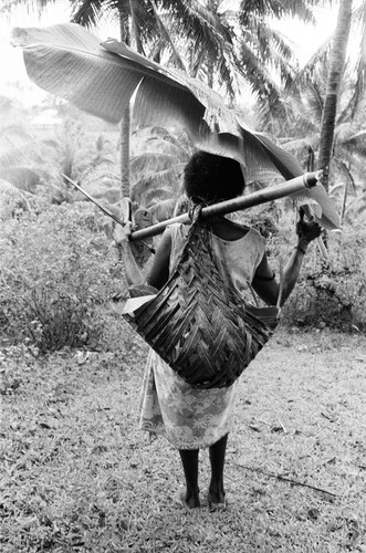 Leaving the bush with harvest