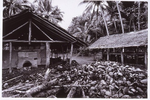 Copra drying shed