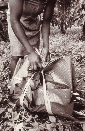 Esta harvesting lap lap leaves 6 of 6