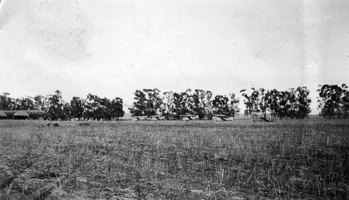 165. âLilac Timeâ filming view, El Toro location, 1927