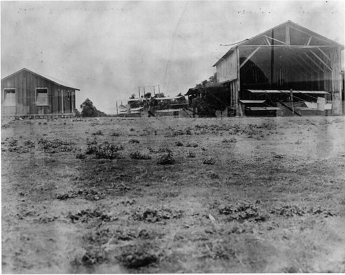 North island image Hangar