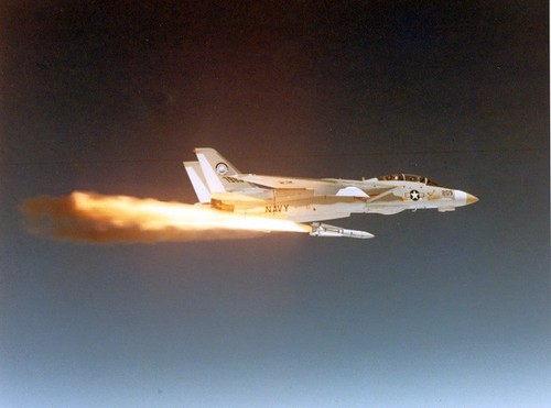 PictionID:45405282 - Catalog:16_006618 - Title:Grumman F-14A