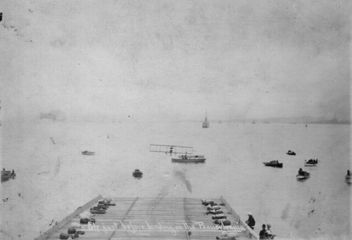 North island image Ely