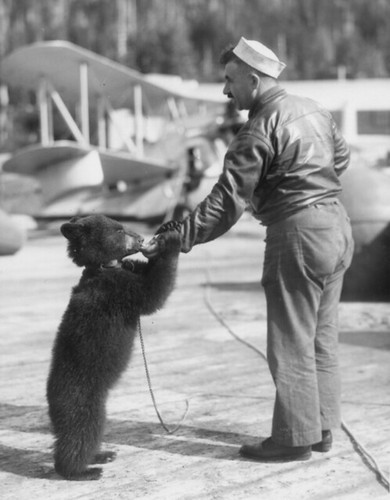 John torigian collection image Alaskan Bear