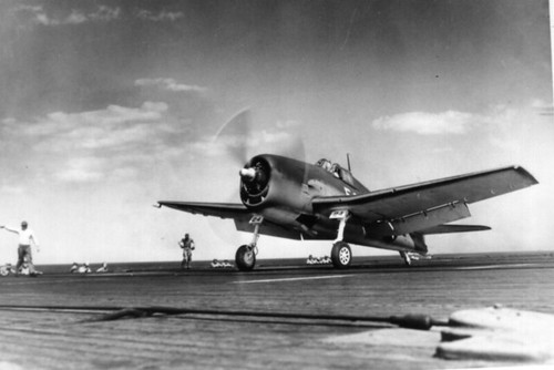 North island image Hellcat