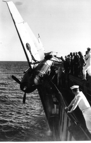 North island image TBM