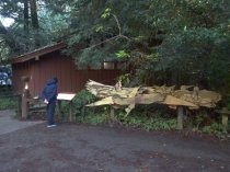 Muir Woods restrooms and sculpture near parking lot, 2019