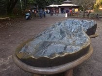 Muir Woods 3D map near entry area, 2019