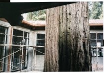 Construction of library addition, 1997