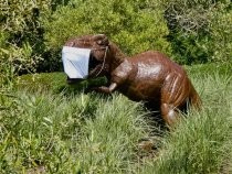 Dinosaur statue with face mask, 2020