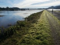 Multiuse Pathway near Tamalpais High School, 2016