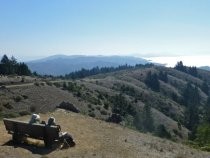 Dipsea Trail near Coastal View Trail, 2013