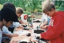 Mill Valley Children's Garden checking for worm castings, 1990-1994