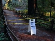 Muir Woods Hillside Trail closure, south end, 2019