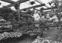 Eggers Nursery, 1983