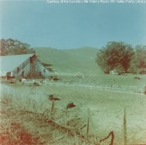 Little Reed Ranch, Tiburon, circa 1949