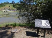 Shelter Hill Apartments view across marsh, 2019