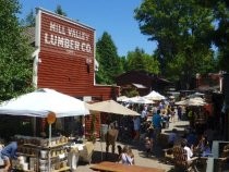 Mill Valley Lumber Yard Summer Eco Fest, 2019